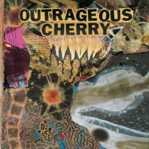 Outrageous Cherry - Seemingly Solid Reality - PopDiggers