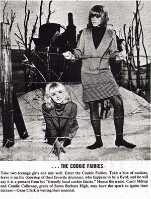 The Cookie Fairies