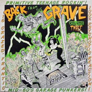 Various Artists - Back From The Grave Vol. 3