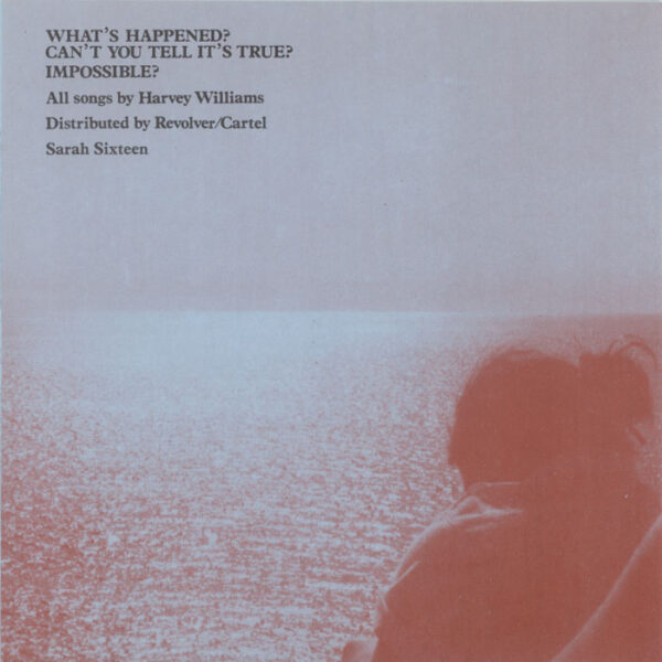 Another Sunny Day ‎– What's Happened?