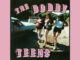 The Bobbyteens – I Wanna Go Home